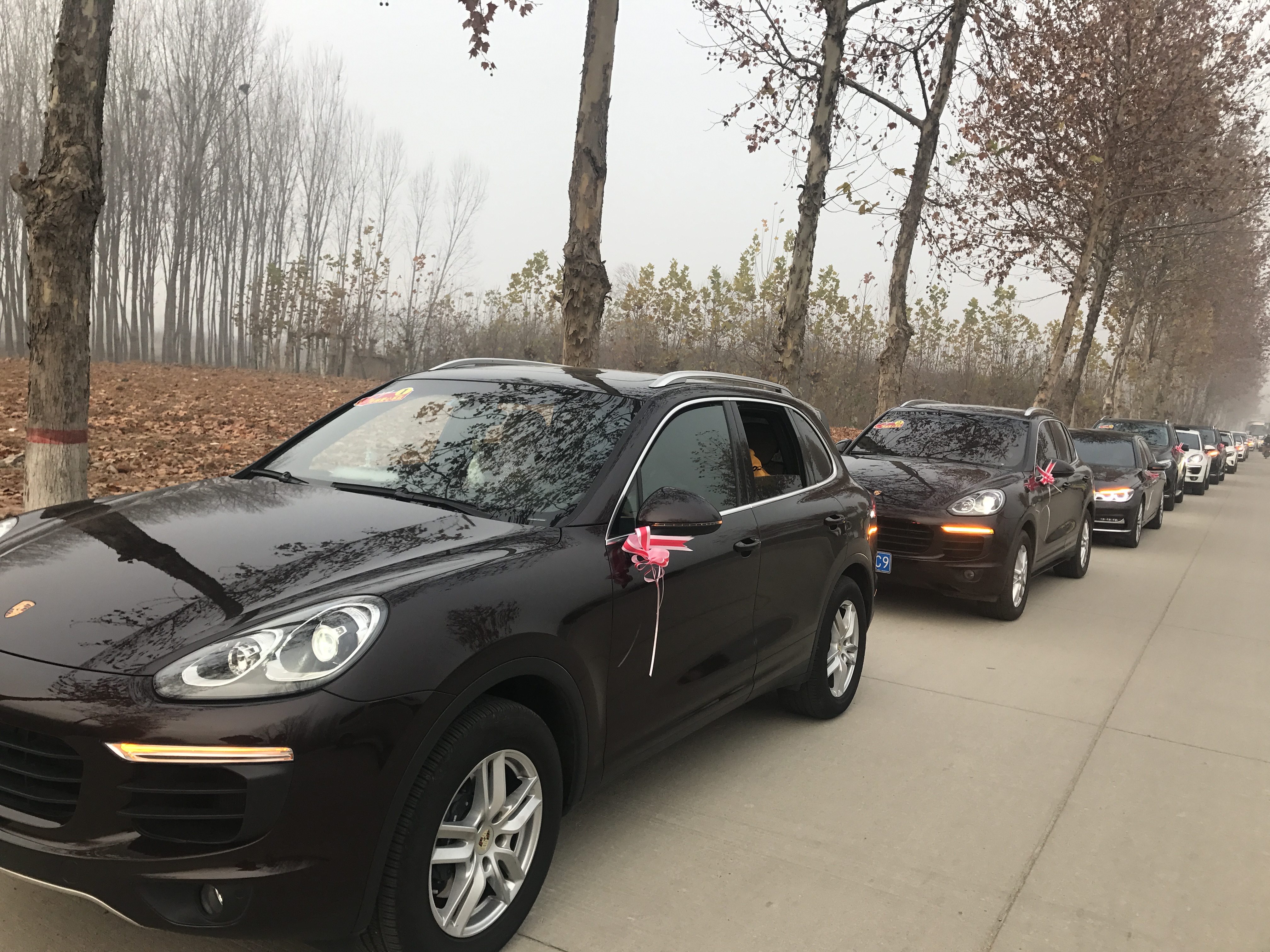 第183所 泰安市岱岳区良庄镇华体会官方网页版-华体会(中国)
李娜小学